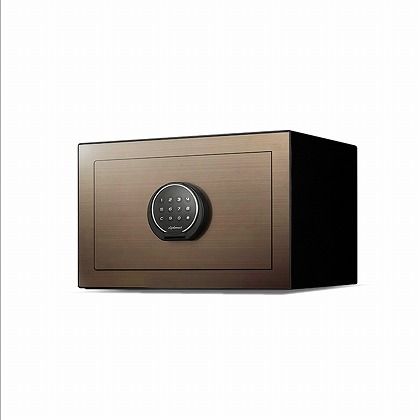 Combi5 CG 本体:Champangne Gold(シャンパンゴールド)