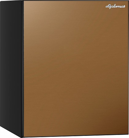 HN500BKCG 本体:ブラック シャンパンゴールド